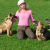 Katrin Stenzel, Trainerin-Verhaltensberaterin @ Dogs-Learn-Center, Cremlingen