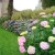 Adelyn Taylor  @ Fast Landscape Gardening, Adelyn Taylor 