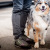 Jackie Moord, Dog Walking @ Nature of the Dog -GR Dog Walking Compan, Grand Rapids, MI