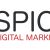 Timur Sener @ Spice Digital Marketing GmbH, köln